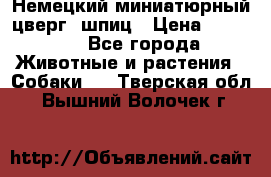 Немецкий миниатюрный(цверг) шпиц › Цена ­ 50 000 - Все города Животные и растения » Собаки   . Тверская обл.,Вышний Волочек г.